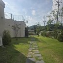 푸른스크린골프 이미지