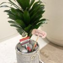 맑을아 의원 이미지