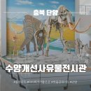 선사유적로 | 안 좋은 후기들 무시하고 가 본 '수양개선사유물전시관' 후기