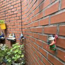 상촌시장 이미지