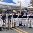 제41회 금산인삼축제 거리의 라디오쇼 프린지연주1 이미지