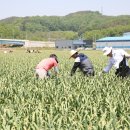 대전지방국세청 이미지