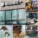 기적의도서관 ↔ 문부로 | 제주이색데이트 서귀포 수족관카페 워터라이프본점 :: 물고기가 주는 위로와 힐링