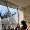 다도숲 | 제주 실내 데이트 책방 티하우스 다도체험 '에가톳 라이브러리' 예약 주차