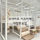 코네히토
