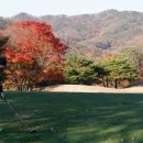 우리골프청주