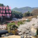 별 천지 독채펜션 이미지