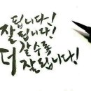 금채샵