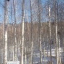 내린천아름펜션 이미지