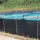 살미면사무소 이미지