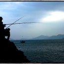 균스포츠 이미지