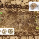 무덤의 흔적 이미지