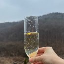 산새음 네이버블로그