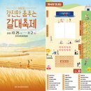 갈대2축구장 | 전남 강진만 갈대축제 일정·셔틀버스·가수 정보