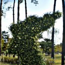 평화공원 내 이미지