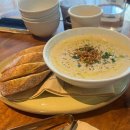 파인(143) | 세종 어진동 빠스타스 by 파인드파인 내돈내산 후기