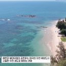 힐링진