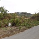 웅담3리 이미지