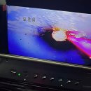 번개시장 화장실 | 싱크대 화장실 하수구 막힘 뚫는 법 번개배관케어 부르는 이유