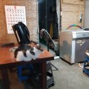 언덕포차 네이버블로그
