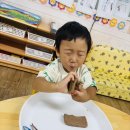 Hug연계활동-한천바다 만들기 이미지