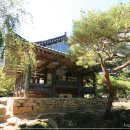 정자중학교 이미지