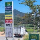 스테이나루펜션 | 화양계곡과 수영장이 있는 펜션 스테이나루펜션 후기