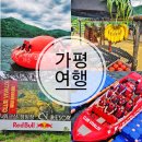 신세계 빌리아드 레져클럽 | 가평 빠지 기간 클럽비발디 추천 풀 패키지 후기