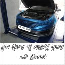 YG OIL CLUB 이미지