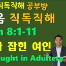 NIV 2011, JOHN(요한복음) 8:1-11 반복듣기, 간음하다 잡힌 여인, A Woman Caught in Adultery, 이미지
