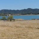 하천(금강) 이미지