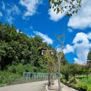 청와대세트장화장실 이미지