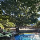 두리봉 화장실 | [함양] 여름방학 여유롭게 물놀이 할 수 있는 자연과 함께인 숙소, 두리봉펜션