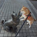 보스돼지 이미지