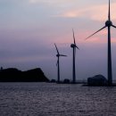 대중바다식당 이미지