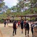 강원 영월 청령포(단종유배지) &amp; 단종묘(장릉) 이미지