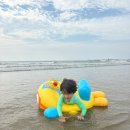 Oh!ROCK(오락) | 아기랑 안면도 아일랜드리솜 오션빌라스 G50 태안 가족여행 숙소 추천