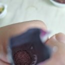 기능성 위장관 질환의 식이관리 | 차전자피 식이섬유