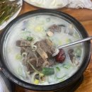 할매속좀풀자 | 완벽하게 해장되는 울산 할매속좀풀자