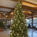 황무로 | 경기 이천 : 이천 한옥 카페 “ 카페 호야 ” 이천 힐링하기 좋은 대형 카페 다녀 온 후기