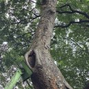 신촌동 학원가-1 이미지