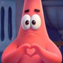 바우애견 이미지