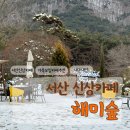 서산 정원뷰와 산뷰가 이쁜 신상카페 해미숲