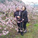 신광2목장 이미지