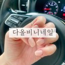 비니네일 | 용원네일 다올비니 겨울네일 니트네일 대만족한 솔직후기