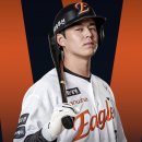 노시환 MLB 도전 한다는 소문 있던데 ㅎㄷㄷㄷ 이미지