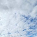 홈즈펫타운 이미지