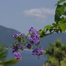 외도가는길 이미지