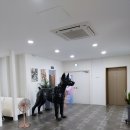 골든글로리 이미지