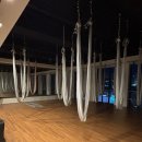 요가쏘울 | 평택 비전동 요가 추천 스와디요가앤플라잉 후기